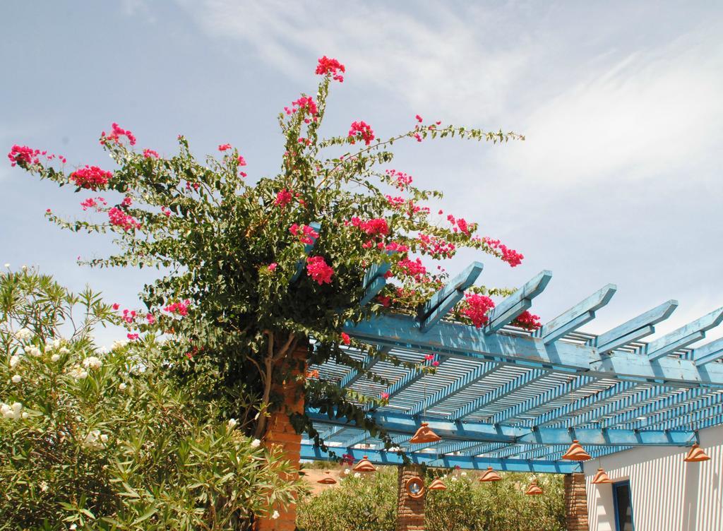 La Ferma Bed and Breakfast M'dik Εξωτερικό φωτογραφία